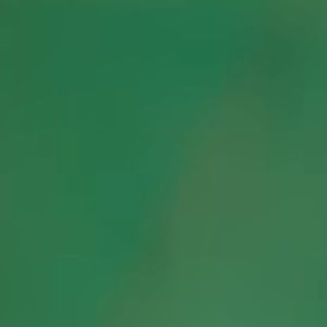 Meet your Posher, Brynn